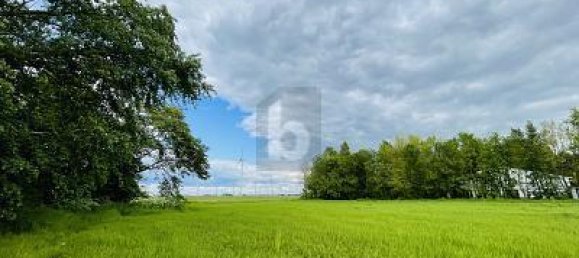 Terreno em Dithmarschen, Germany 5120 m² N.º 253950 2