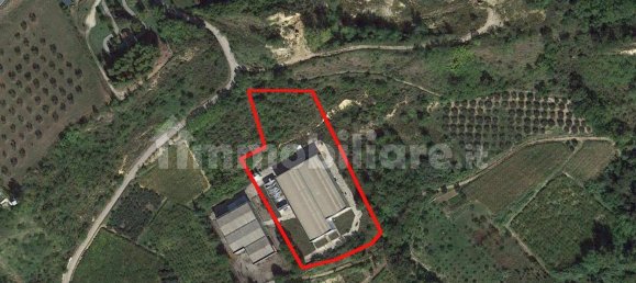 3062m² Warehouse in Giuliano Teatino, Italy No. 318860 24