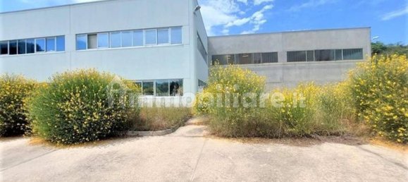 3062m² Warehouse in Giuliano Teatino, Italy No. 318860 19