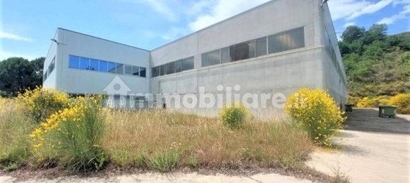 3062m² Warehouse in Giuliano Teatino, Italy No. 318860 20