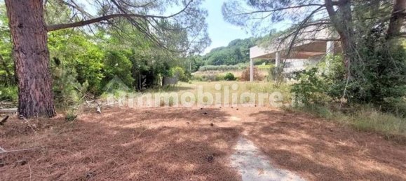 3062m² Warehouse in Giuliano Teatino, Italy No. 318860 15