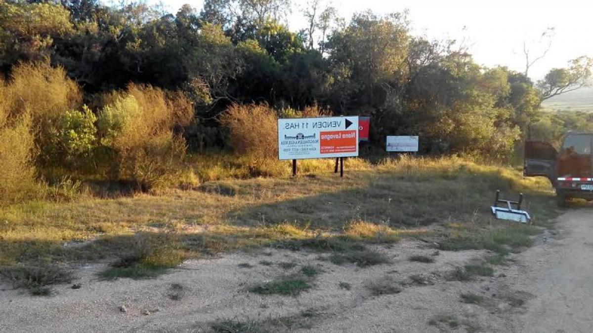 Ferme à Maldonado, Uruguay No. 15691