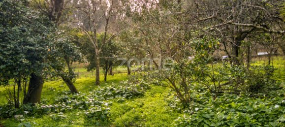 4 bedrooms House in Vila Verde, Portugal No. 15138 7