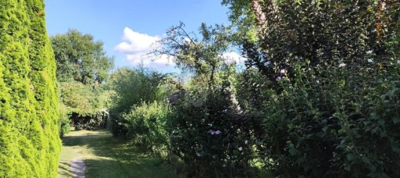 Terreno en Leobersdorf, Austria No. 250021 3