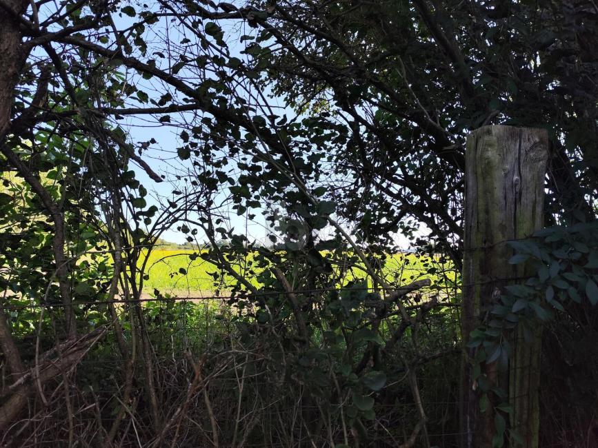 Terreno en Leobersdorf, Austria No. 250021