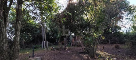 Terreno en Leobersdorf, Austria No. 250021 4