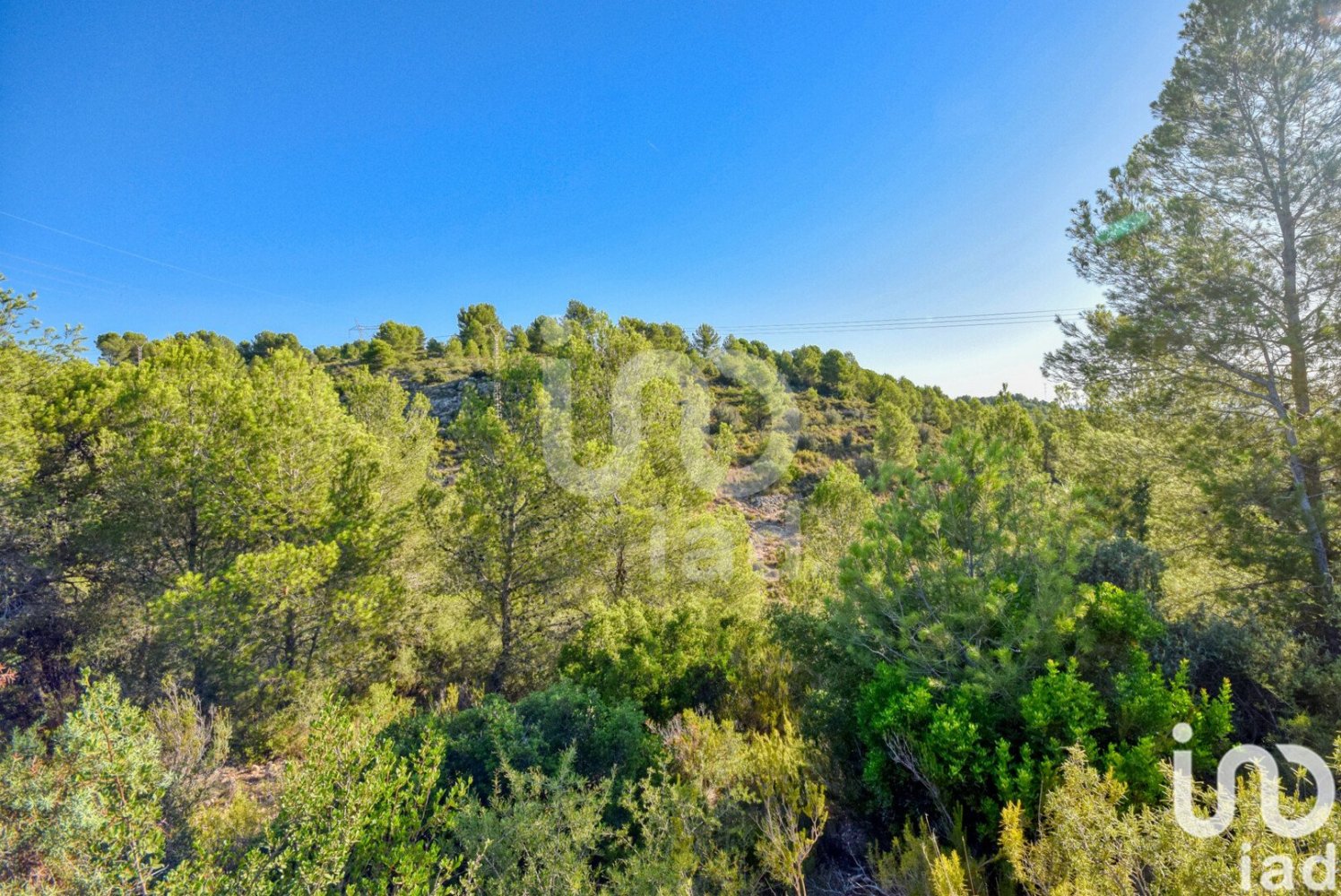 Grundstück in L'Alcudia de Crespins, Spain 201046m², Nr. 293807