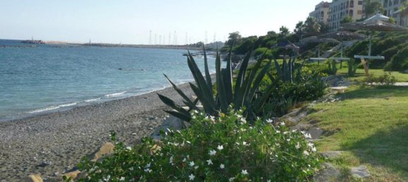 استوديو في Limassol, Cyprus رقم 12447 2