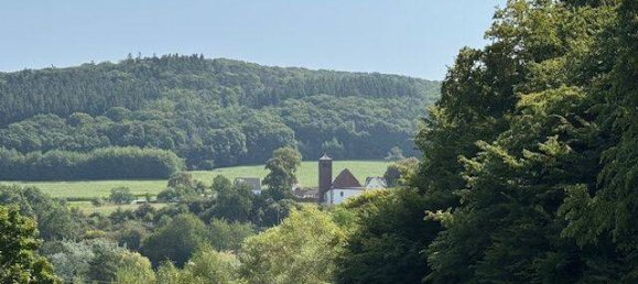 Таунхаус с 8 спальнями в Кузель, Германия № 362750 7