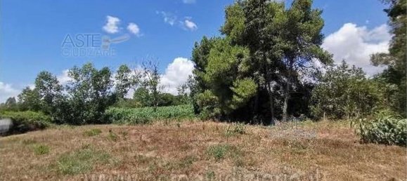 Квартира с 5 комнатами в Латина, Италия № 290120 45