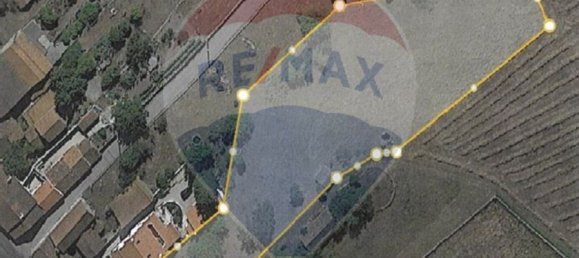 4 غرف نوم منزل في Juncal, Portugal رقم 26394 7