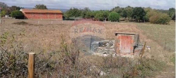 4 غرف نوم منزل في Juncal, Portugal رقم 26394 2