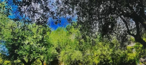 6-salle Appartement à Massa, Italy No. 43484 4