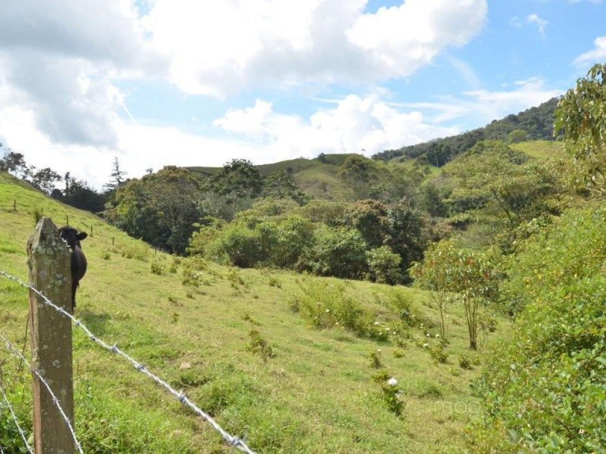  Land in Antioquia, Colombia No. 733