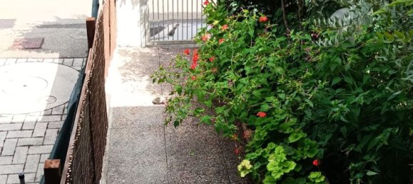 3 rooms Apartment in Bientina, Italy No. 259853 2