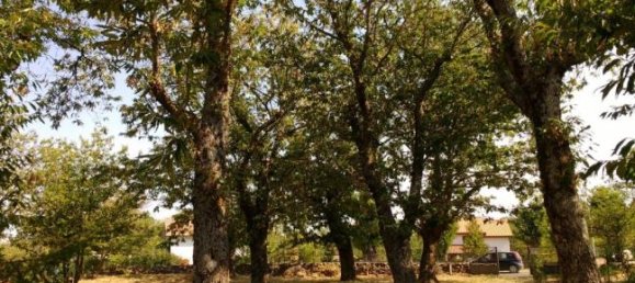 5 rooms Land in Castel del Piano, Italy No. 252581 5