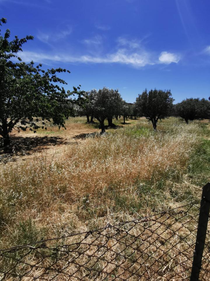  قطعة أرض في Catanzaro, Italy 3000متر مربع رقم 125094