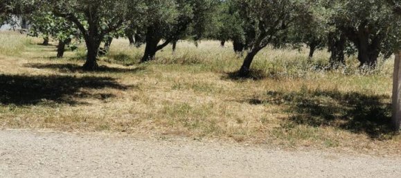  قطعة أرض في Catanzaro, Italy 3000متر مربع رقم 125094 4