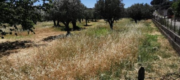  قطعة أرض في Catanzaro, Italy 3000متر مربع رقم 125094 2