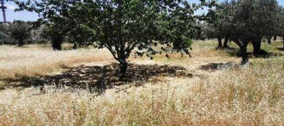  قطعة أرض في Catanzaro, Italy 3000متر مربع رقم 125094 9