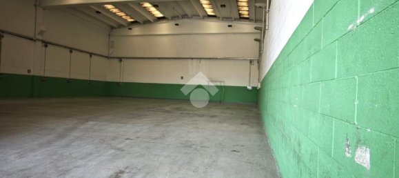 3 rooms Warehouse in Nichelino, Italy No. 303471 6