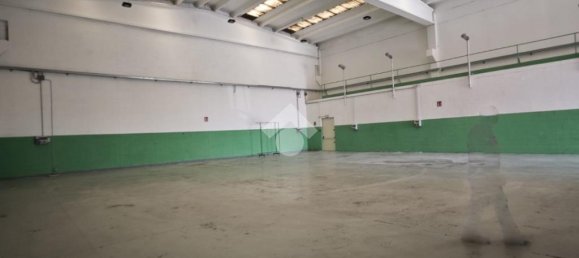 3 rooms Warehouse in Nichelino, Italy No. 303471 23