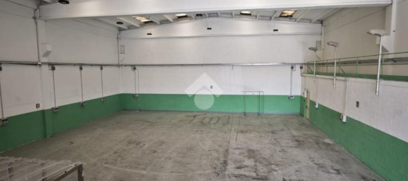 3 rooms Warehouse in Nichelino, Italy No. 303471 19