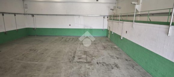 3 rooms Warehouse in Nichelino, Italy No. 303471 7