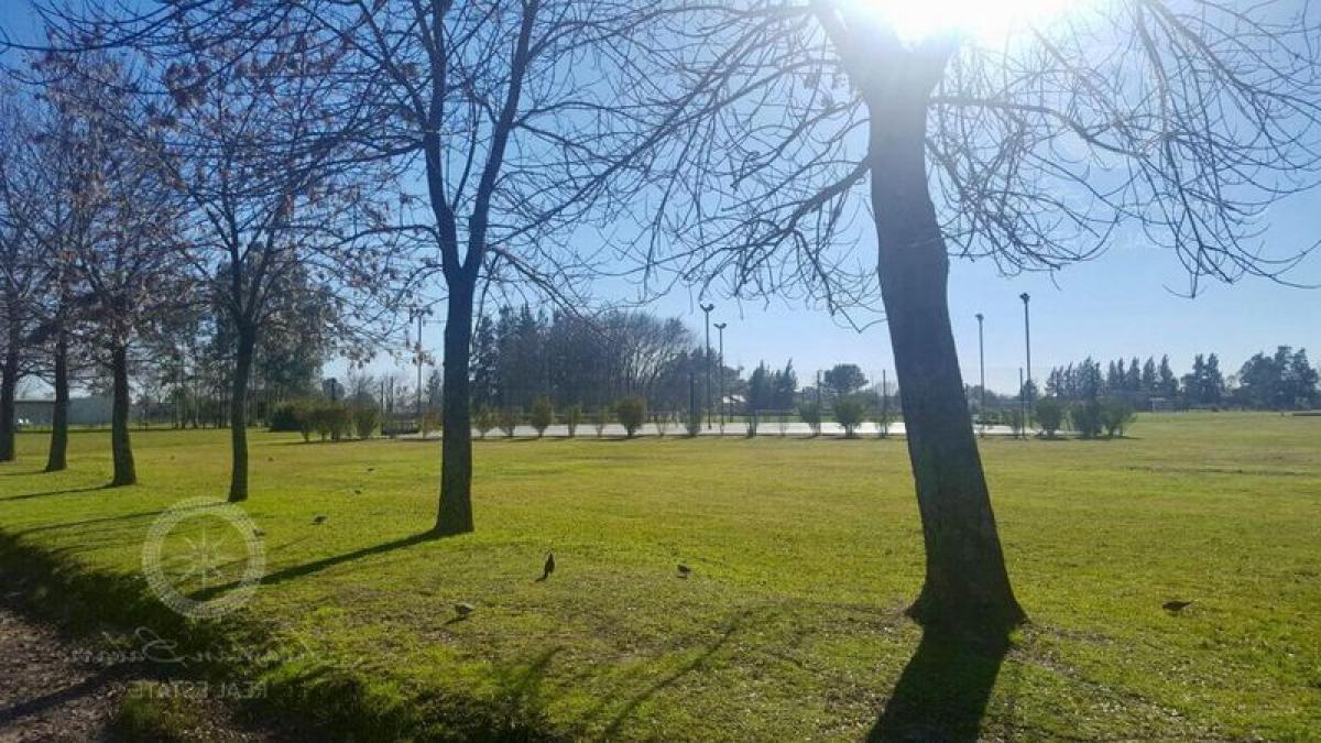  Land in San Vicente, Argentina No. 34837