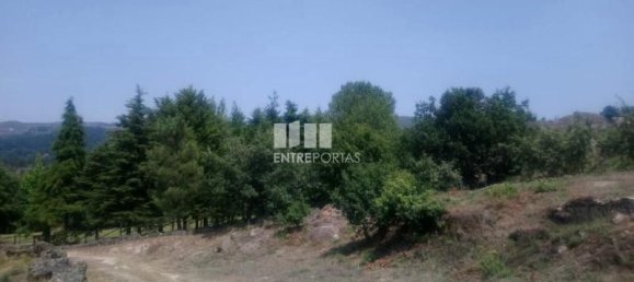 Grundstück in Soalhaes, Portugal 39000m², Nr. 56114 2