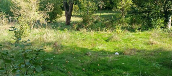 Земельный участок в Мерю, Франция № 87136 2