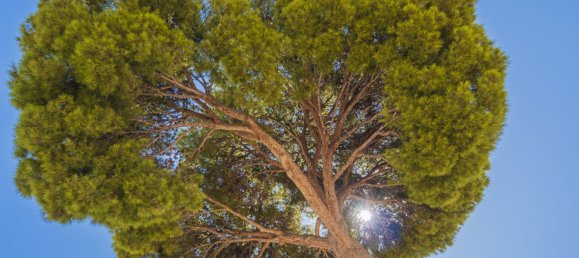 4 bedrooms House in Fuengirola, Spain No. 145517 57