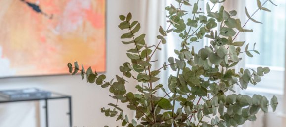 1 chambre Appartement à Kreuzberg, Germany No. 249491 8