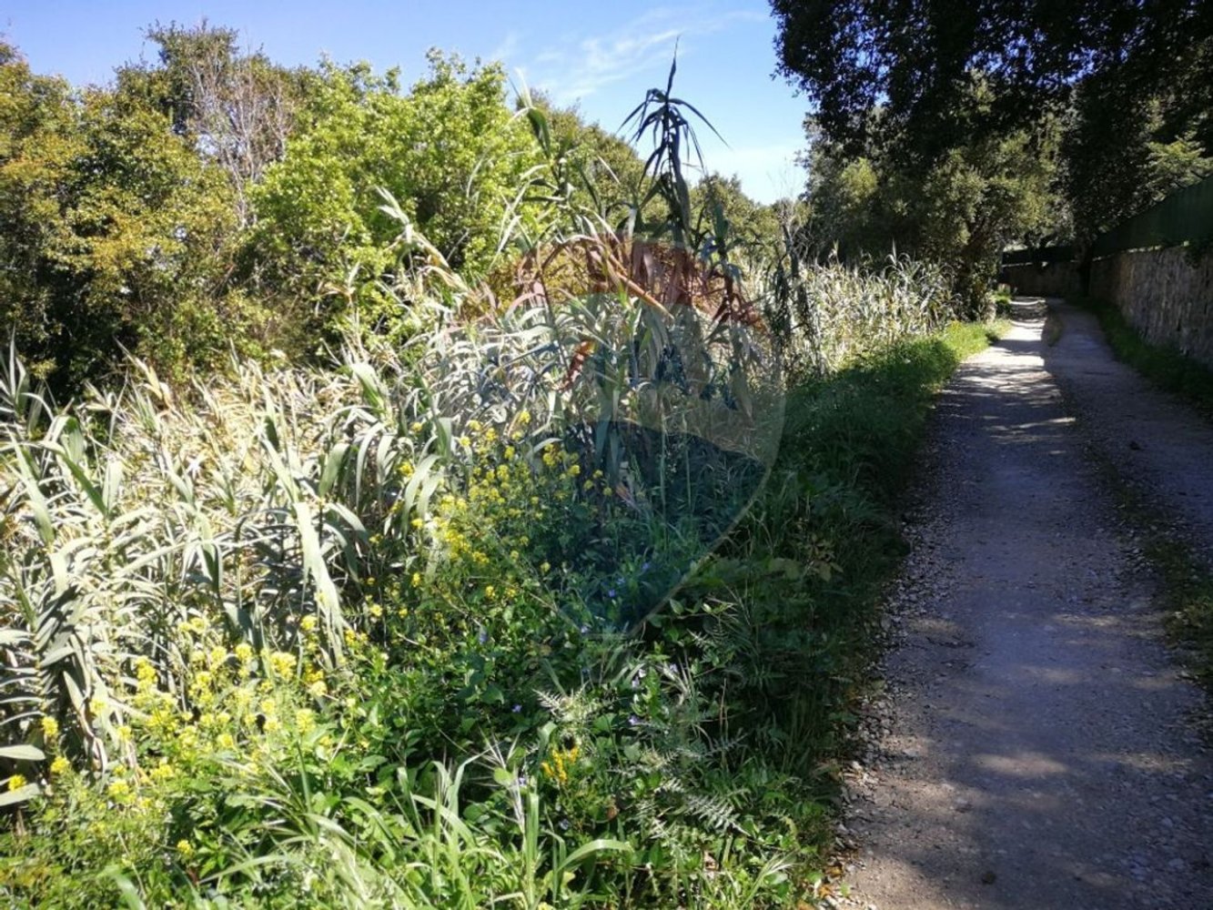 Grundstück in Colares, Portugal 10240m², Nr. 58015
