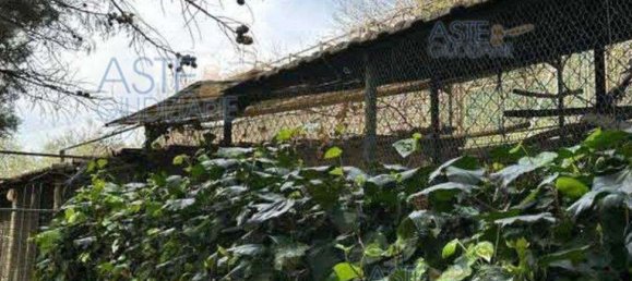 Apartamento de 9 habitaciónes en Morlupo, Italy No. 100453 39