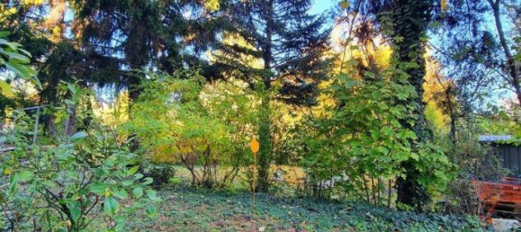 2 rooms Apartment in Vienna, Austria No. 13667 9