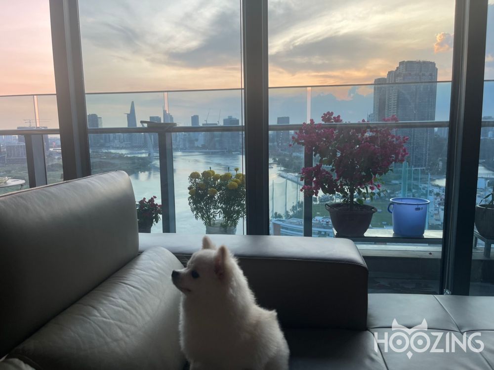 3 bedrooms Apartment in Binh Thanh, Vietnam No. 18225