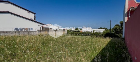  قطعة أرض في Chamusca, Portugal 420متر مربع رقم 75233 27