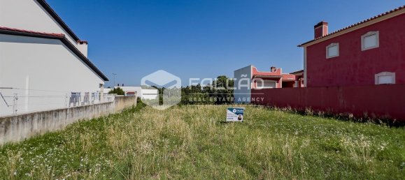  قطعة أرض في Chamusca, Portugal 420متر مربع رقم 75233 22