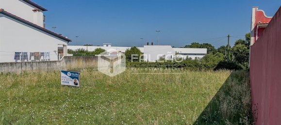  قطعة أرض في Chamusca, Portugal 420متر مربع رقم 75233 17