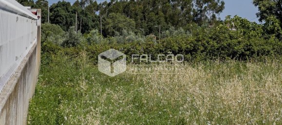  قطعة أرض في Chamusca, Portugal 420متر مربع رقم 75233 21