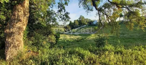 Terrain à Coimbra, Portugal 2364m² No. 171611 2