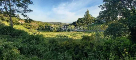Terrain à Coimbra, Portugal 2364m² No. 171611 3