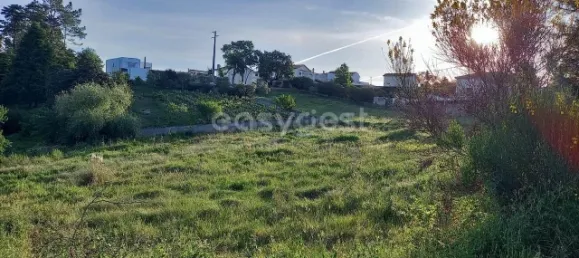 Terrain à Coimbra, Portugal 2364m² No. 171611 6