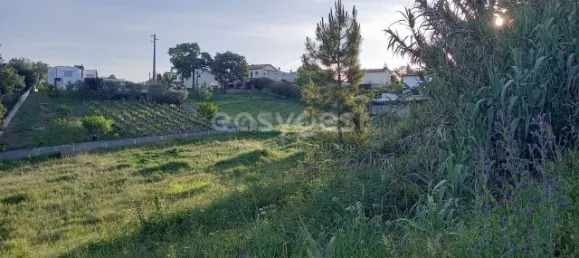 Terrain à Coimbra, Portugal 2364m² No. 171611 7