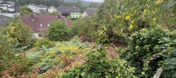 2 rooms House in Loosdorf, Austria No. 243172 7
