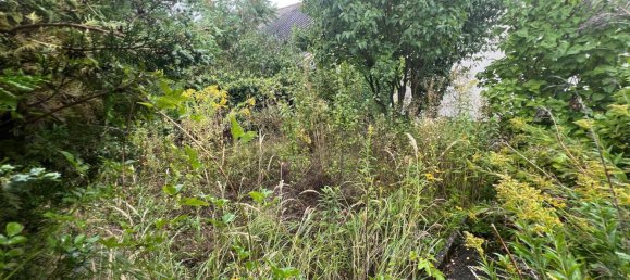 2 rooms House in Loosdorf, Austria No. 243172 10