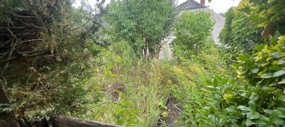 2 rooms House in Loosdorf, Austria No. 243172 11