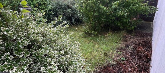 2 rooms House in Loosdorf, Austria No. 243172 26