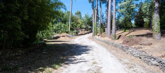 5 bedrooms House in Pacos de Ferreira, Portugal No. 130256 31